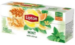 Lipton Ceai Lipton Herbal menta si citrice 20plicuri (LP69559053O)