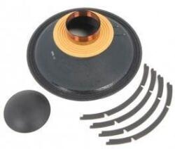 B&C Speakers Recon kit B&C 21DS115