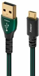 AudioQuest Cablu USB A - USB C AudioQuest Forest 0.75 m