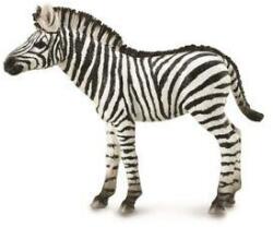 CollectA COLECTA Zebra (M1188850) Figurina