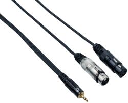 Bespeco EAYMS2FX300 3 m Cablu audio (EAYMS2FX300)