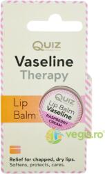 Quiz Cosmetics Balsam de Buze cu Vaselina si Zmeura 10ml