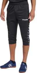 Hummel Pantaloni Hummel AUTHENTIC 3/4 PANT 205371-2114 Marime 3XL