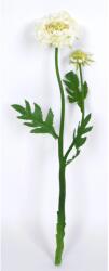 Művirág ördögszem krémszínű 50 cm (12-7173-15)