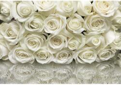 Komar fotótapéta A la Rose 368 cm x 254 cm