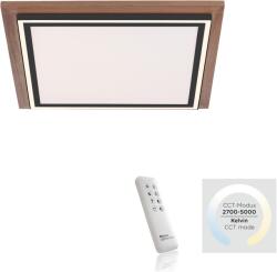 Neuhaus Lighting Group Palma LED-panel fadekor 53, 4 cm x 53, 4 cm