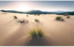 Komar Vlies fotótapéta Vivid Dunes 450 cm x 280 cm