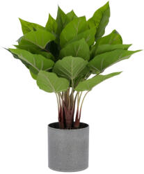 Kave Home Művirág Kave Home Anthurium 50 cm (LF-AA5704)