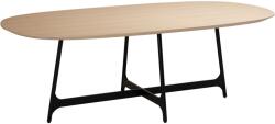 DAN-FORM Tölgy étkezőasztal DAN-FORM Ooid 220 x 110 cm (DF400900100)
