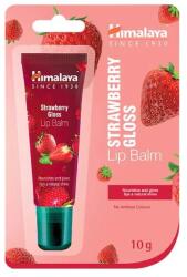Himalaya Epres tubusos ajakbalzsam 10g