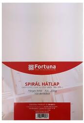 FORTUNA Hátlap FORTUNA A/4 250 g fényes fehér 100/dob (09.00511) - vectraline