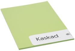 KASKAD Dekorációs karton KASKAD A/4 2 oldalas 225 g lime zöld 66 20 íves (623866/806066) - vectraline