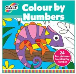 Galt Carticica coloram pe numere (1005392)