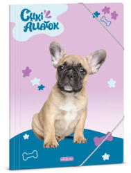 Ars Una Ars Una Cuki Állatok-Francia bulldog A/4 gumis dosszié (50214266)