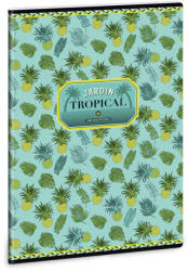 Ars Una Ars Una Yellow pineapple A/4 extra kapcsos füzet-sima (93808699)
