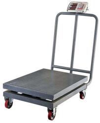 TCS-T gurulós raktári mérleg 600 kg, 60x80 cm - fém kijelző
