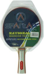 SPARTAN Pingpongütő Easy (311)