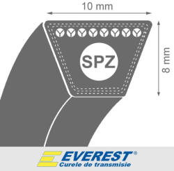 Everest Curea 1143(1093li)x10x8 Everest (29647)
