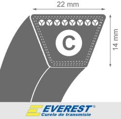 Everest Curea 3126(3038li)x22x14 Everest (34552)