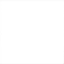 India Gresie SUPPER WHITE MAT rectificata, portelanata, interior-exterior alb mat 60x60cm (50323977)