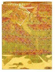 Creative Special hologram M 18x23x10 cm egyszínű arany sodort füles 75033