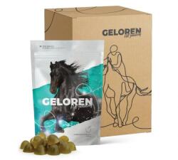 VetPlus Geloren HA ín és porcerősítő 60 db