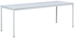  Masa birou Basic, 200 x 80 x 76 cm, model drept M310175