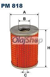 FILTRON Üzemanyagszűrő (PM 818) (PM818)