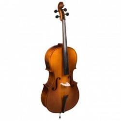 Hora-Reghin Hora Reghin Violoncel 4/4 Student placaj C121