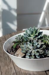Villeroy & Boch Супник NewWave (1025253160)