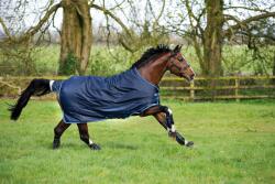 Horseware Ireland Amigo Bravo 12 Turnout 400g w/LA - 140 cm