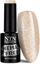 NTN Premium UV/LED 262# (HEMA Free)