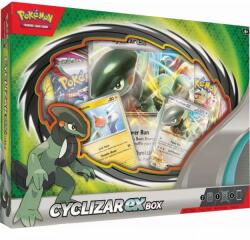 Pokémon TCG: May ex Box (PCI85233) - pandytoys