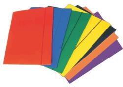 Viamond Mapa Carton Plastifiat Cu Elastic