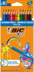 BIC Set creioane colorate Evolution Bic, P12