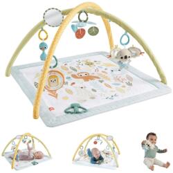 Mattel Fisher-Price Sensimals HRB15