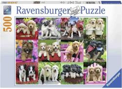 Ravensburger Catelusi 500 (RVSPA14659) Puzzle