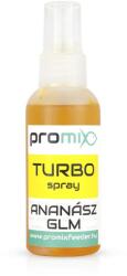 Promix Turbo Spray Ananász-GLM (PMTSAG)