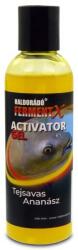 Haldorádó FermentX Activator Gel - Tejsavas Ananász (HD18329)