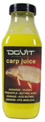 DOVIT Carp Juice - ananász-vajsav (DOV934)