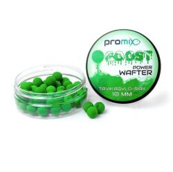 Promix GOOST Power Wafter Tavikagyló-Rák 10mm (PGPTR10)