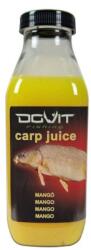 DOVIT Carp Juice - mangó (DOV937)