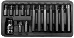 PROLINE Lyukas Torx Bitfej Szett - Cr-va-s2 - 15 Db (10745)