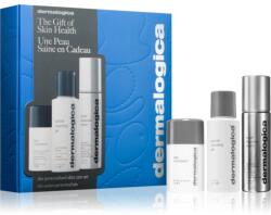 Dermalogica Daily Skin Health The Personalized Skin Care cremă multifuncțională pentru toate tipurile de ten