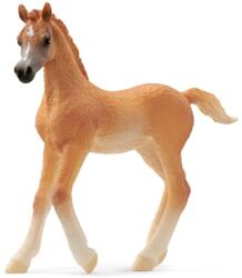Schleich 13984 Arab Csikó
