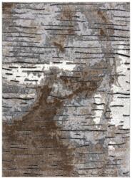  Szőnyeg VERS RIO barna 80x150