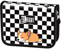 St. Majewski St. Right Kihajtható Tolltartó - Sleepy Corgi