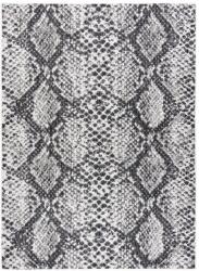  Szőnyeg VINEA SNAKE krémű 120x170 (140007628)