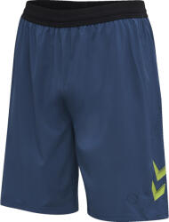 Hummel Sorturi Hummel LEAD PRO TRAINING SHORTS 207420-7642 Marime XXL