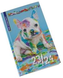 Realsystem Diák zsebkönyv, heti, 2023/2024 tanév, REALSYSTEM, színes (TA23-5313-65)